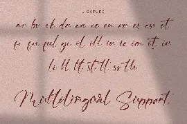 Ving Winston - Signature Font