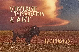 Buffalo Typeface font