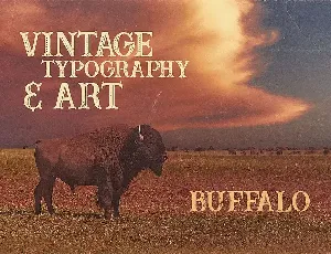 Buffalo Typeface font