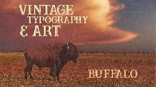 Buffalo Typeface font