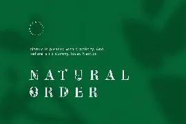 Leafy Logo Font