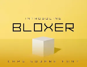 Bloxer Font