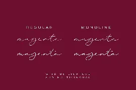 Magenta Duo - Luxury Script Font