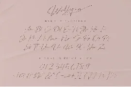 Wellyon Script signature font