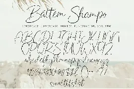 Battem Shampo font