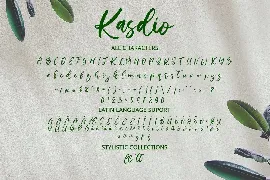 Kasdio - Casual Brush Font