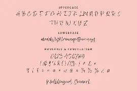 Fellicia Grace Elegant Signature Handwriting Font