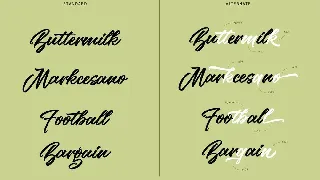 The Woofey Script Typeface font