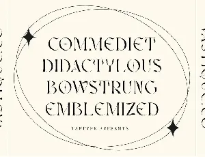 Vastyque - Vintage Modern Ligatures Serif font