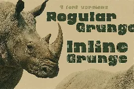 Rhino - Display Font