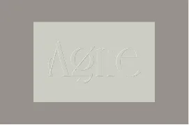 Agne font