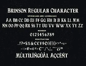 Brinson Regular - Vintage Serif Font