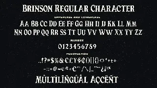 Brinson Regular - Vintage Serif Font