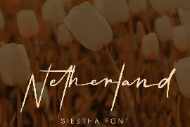 Siestha - Signature Font