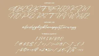 Detinata Modern Signature Font