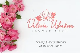 Veilyssia - Modern Script fonts