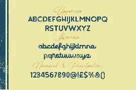 Logo Display Font