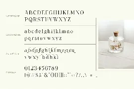 Collina - Ligature Serif Font