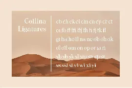 Collina - Ligature Serif Font