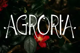 Agroria decorative font