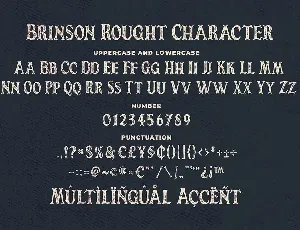 Brinson Rought - Vintage Serif Font