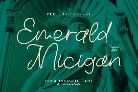 Emerald Micigan Monoline Script Font