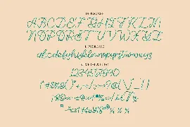 Emerald Micigan Monoline Script Font