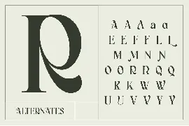 Bagerich font