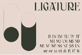 Bagerich font