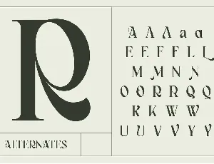 Bagerich font