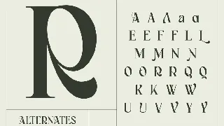 Bagerich font