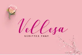 Vellesa Script font