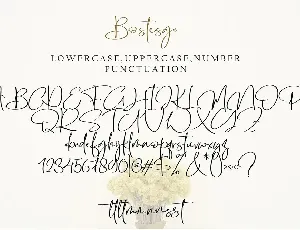 Bostesga font