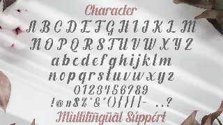 Fendysa - Calligraphy Font