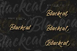 Blackcat Script // Regular and Extruded font