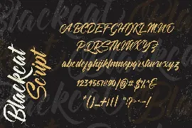 Blackcat Script // Regular and Extruded font