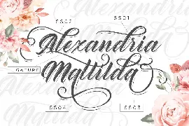 Rhinatta Script font