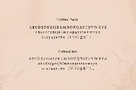 Traditional and Exceptional Font Duo