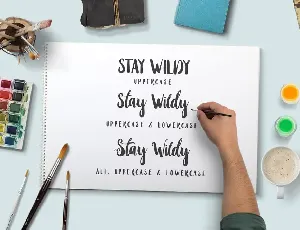 Stay Wildy font