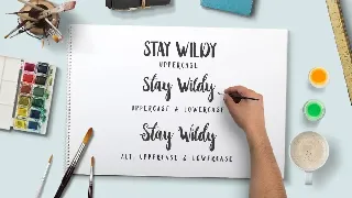 Stay Wildy font