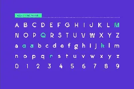 Maximo Nexa Font