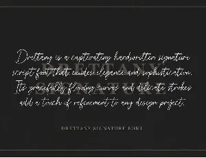 Drettany Signature Script Font