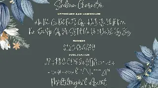 Shelina Beauty Script Font