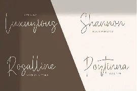 Baster Monky - Monoline Script Font