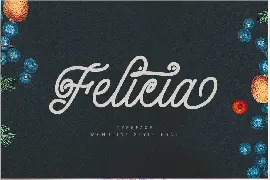 Felicia font