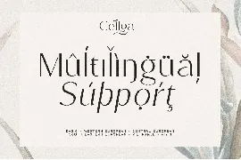 Cellga Typeface font