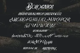 Bolognice | Handcrafted Hand-Lettring Font