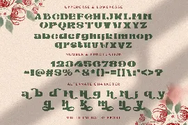 Mibaguy - Decorative Display Font