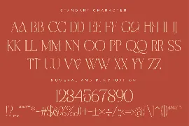 Stylish Modern Display Serif Font