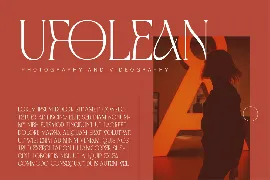 Stylish Modern Display Serif Font